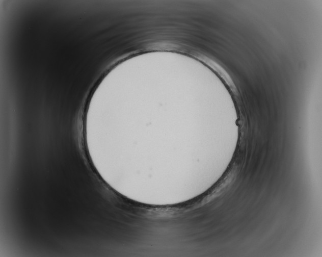 X0000087601000200705181234