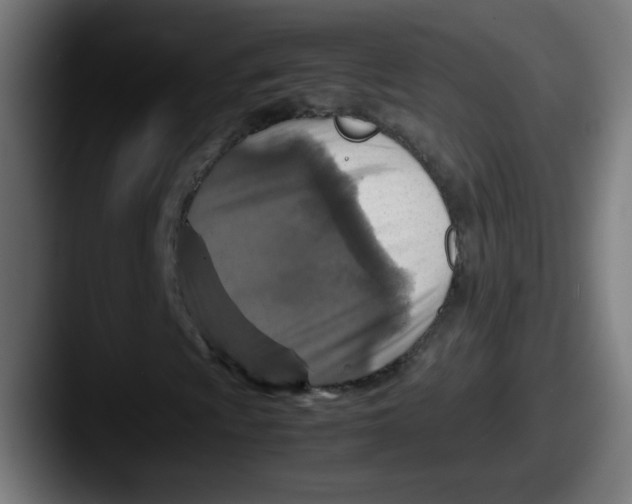 X0000087601009200705181233