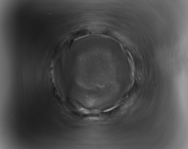 X0000087601010200705181233