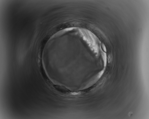 X0000087601011200705181233