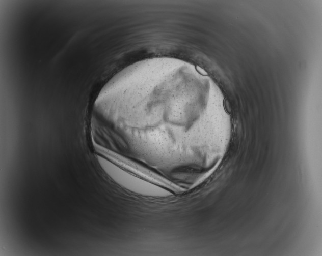 X0000087601012200705181233