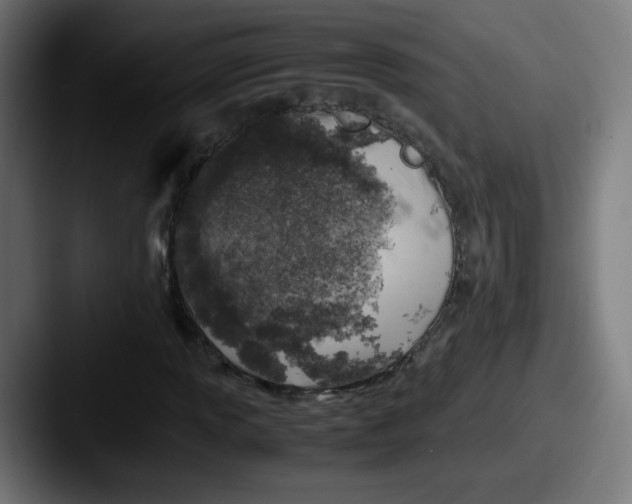 X0000087601013200705181233