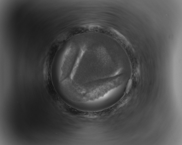 X0000087601014200705181233