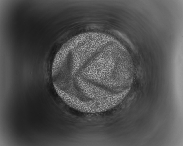 X0000087601015200705181233