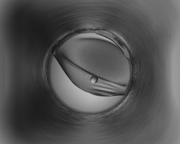 X0000087601018200705181233