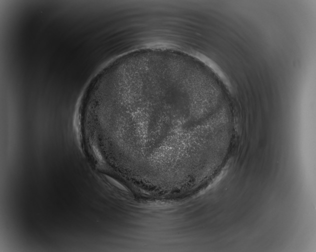 X0000087601022200705181233
