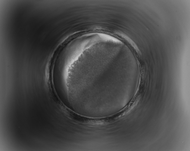 X0000087601023200705181233