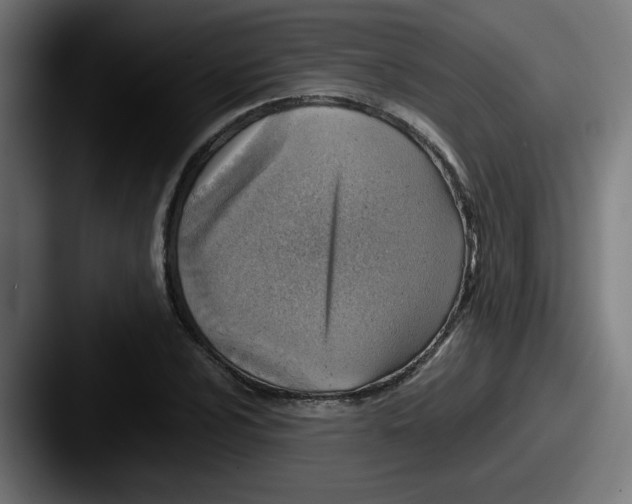 X0000087601024200705181233
