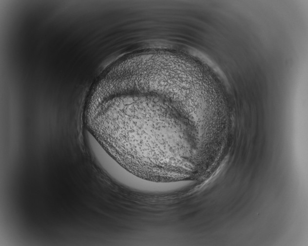 X0000087601025200705181233