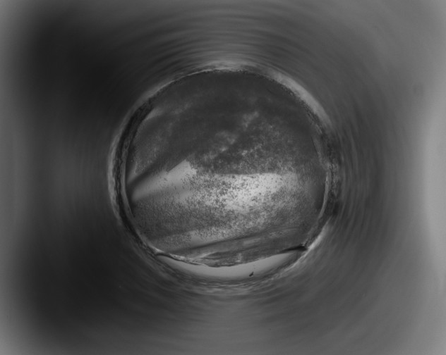 X0000087601026200705181233