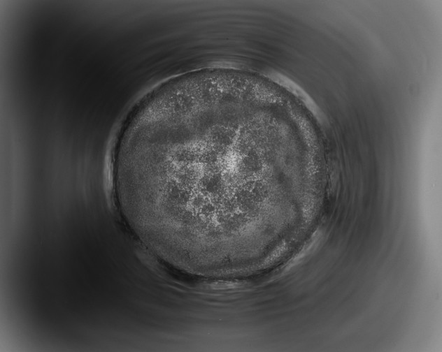 X0000087601027200705181233