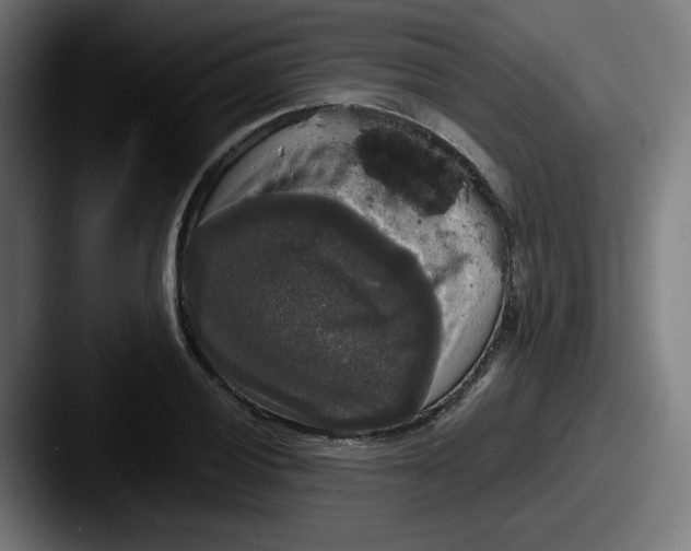 X0000087601028200705181233