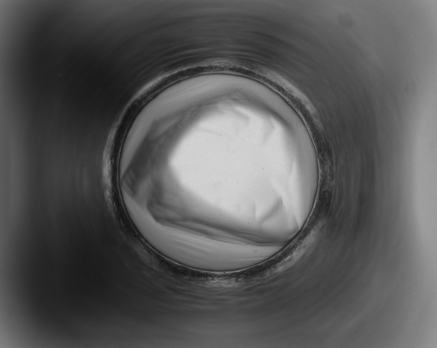 X0000087601029200705181233