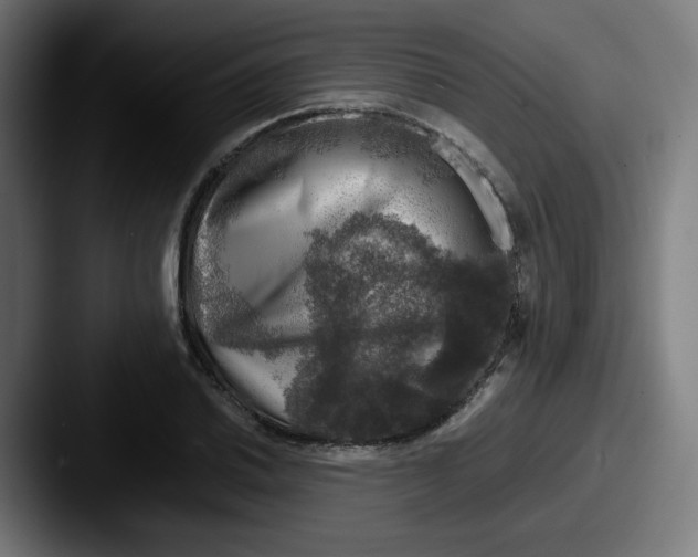 X0000087601030200705181233