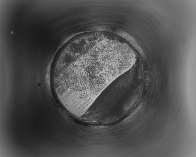 X0000087601031200705181233