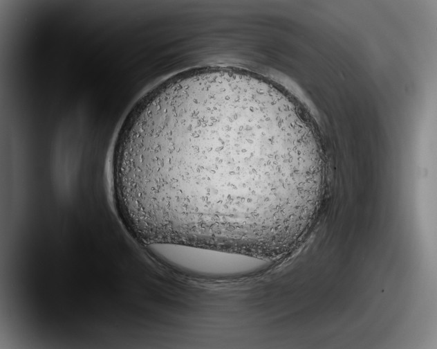 X0000087601032200705181233