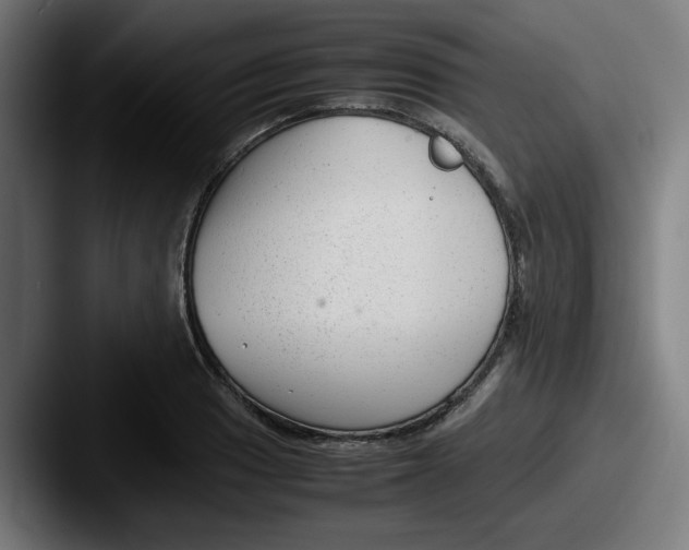 X0000087601033200705181233