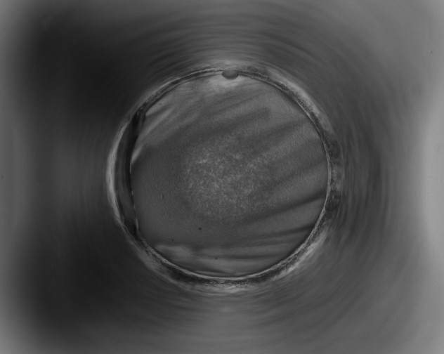 X0000087601034200705181233