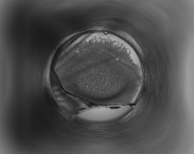 X0000087601035200705181233