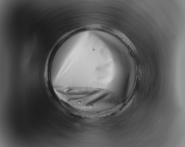 X0000087601036200705181233