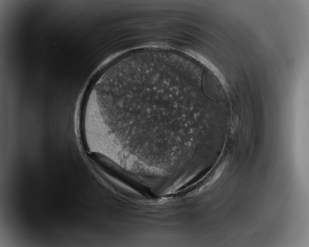 X0000087601037200705181233