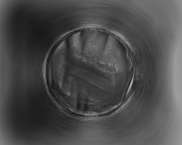 X0000087601038200705181233