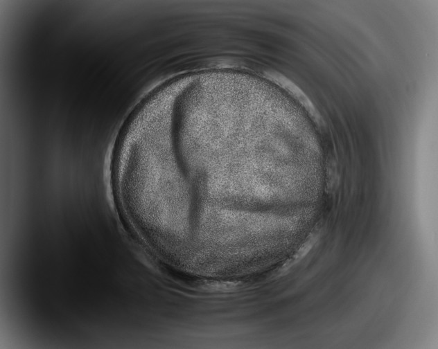 X0000087601039200705181233