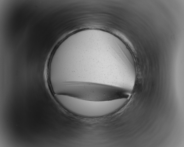 X0000087601040200705181233