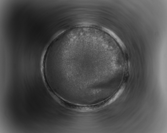 X0000087601042200705181234