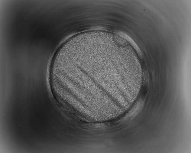 X0000087601043200705181234