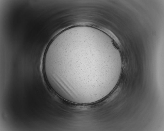 X0000087601044200705181234