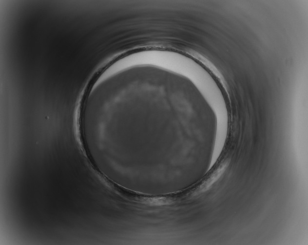 X0000087601045200705181234