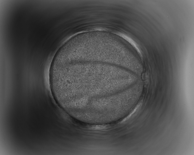 X0000087601047200705181234