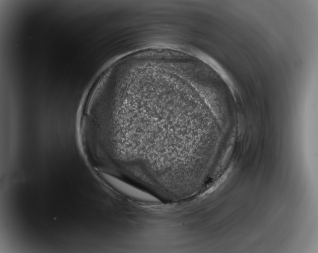 X0000087601048200705181234