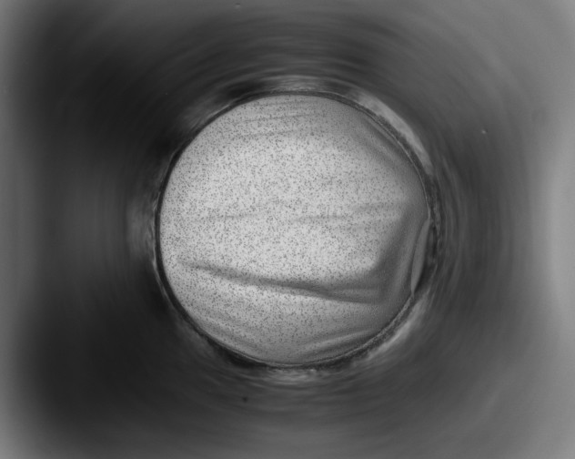 X0000087601049200705181234