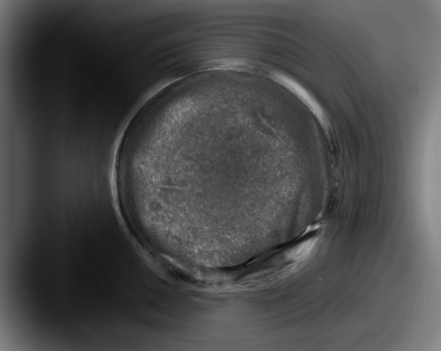 X0000087601050200705181234