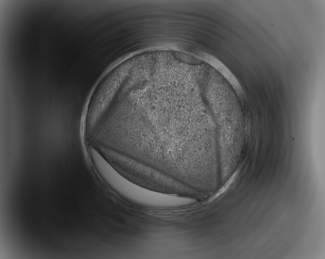 X0000087601052200705181234