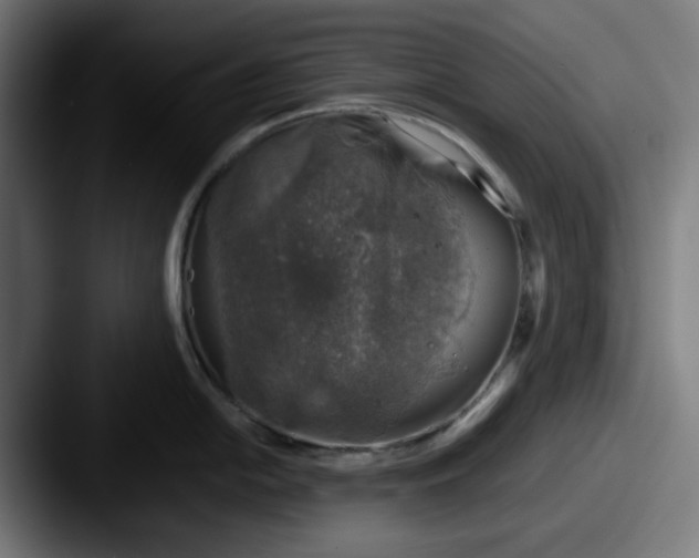 X0000087601054200705181234