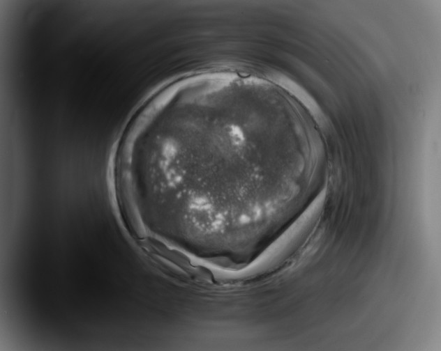 X0000087601055200705181234