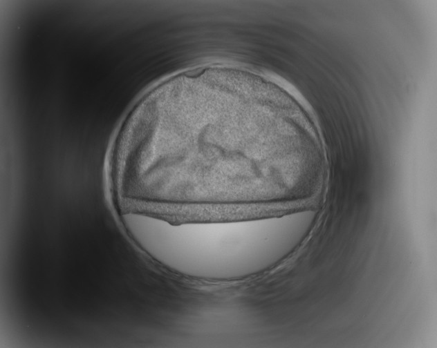 X0000087601056200705181234
