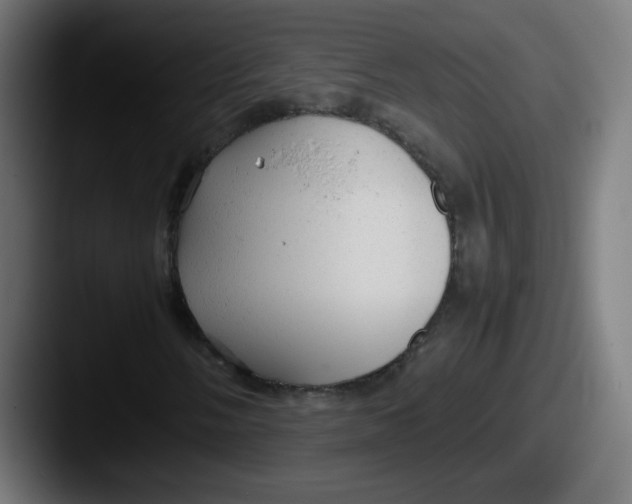 X0000087601058200705181233