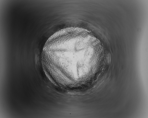 X0000087601059200705181233