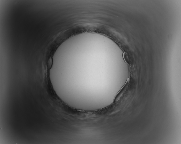 X0000087601061200705181233