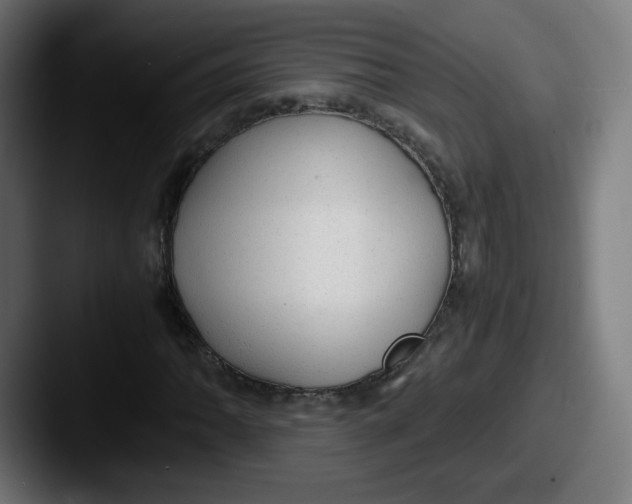 X0000087601062200705181233
