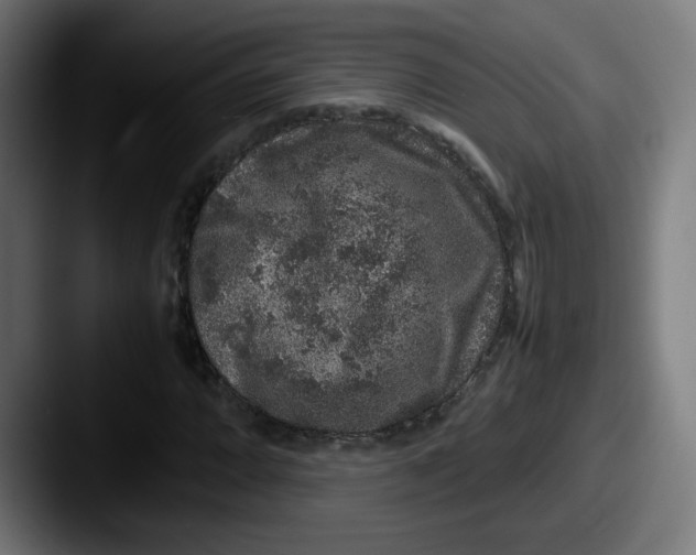 X0000087601064200705181233