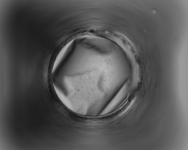 X0000087601065200705181233