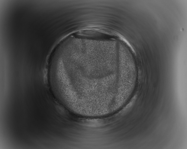X0000087601066200705181233