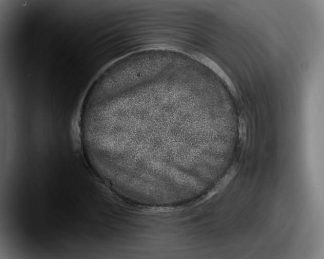 X0000087601068200705181233