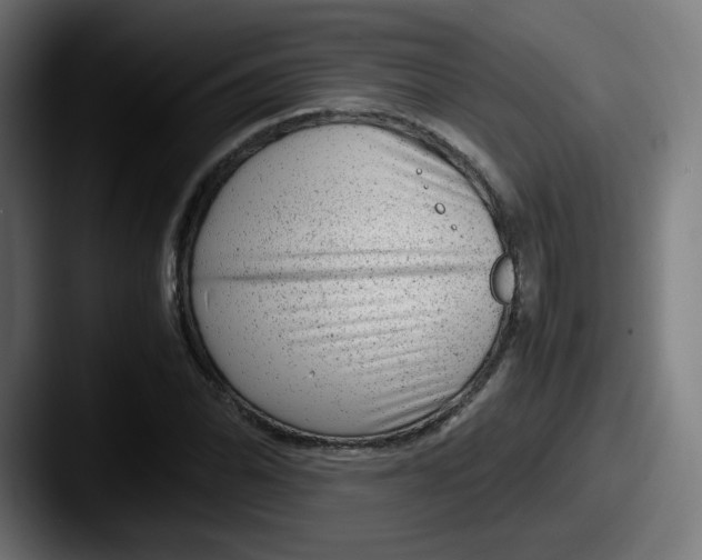 X0000087601070200705181233