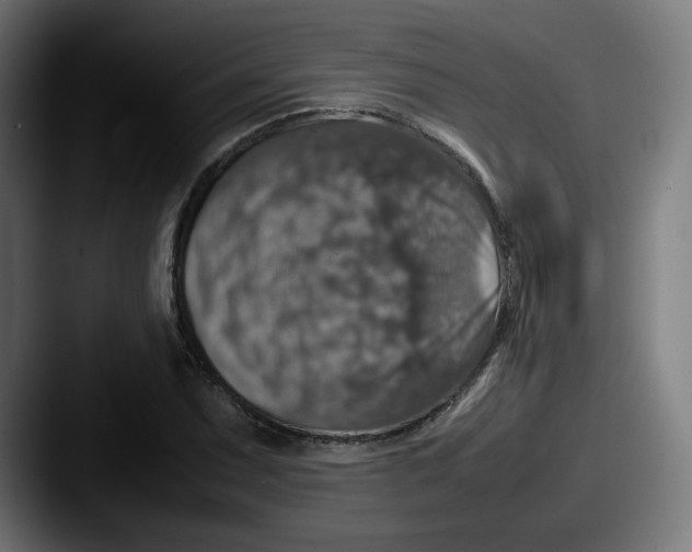X0000087601071200705181233